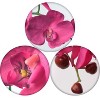 Floral Home 33.5" Fuchsia Phalaenopsis with 9 Flowers - 2-Piece - 2 of 4