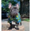 Parisian Pet 'Hawaiian Camp' Dog & Cat Shirt – Lightweight Cotton, Stylish Vacation Pet Apparel – Blue - 4 of 4