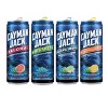 Cayman Jack Cocktails Variety Pack  - 12pk/12 fl oz Cans - 2 of 4