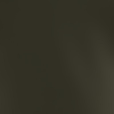 20004-army green