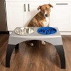 Leashboss Elevated Slow Feed Bowl - Blue - 4 Cup - 4 of 4