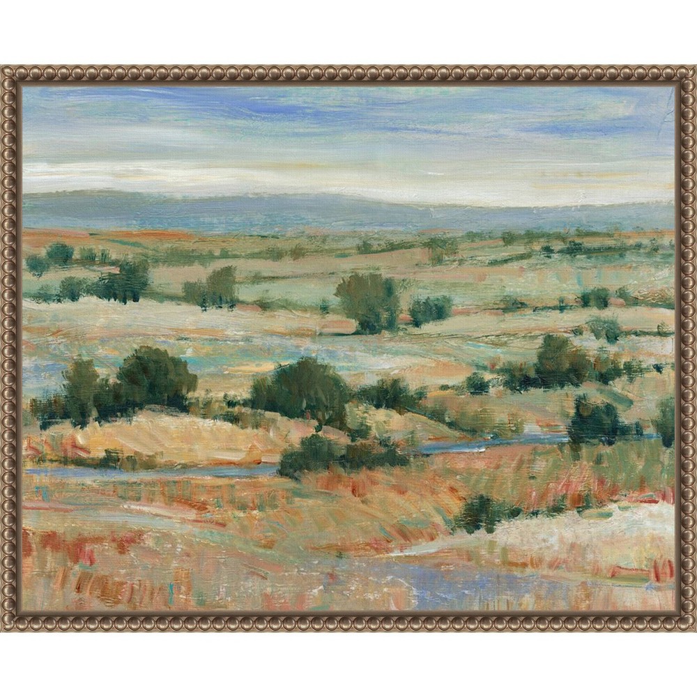 Amanti Art 20x16 Back Country I by Tim Otoole Framed Canvas Wall Art Print