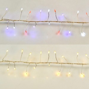 Living Accents LED Big Seed Cluster Light Set Multicolored 9 ft. 150 lights (Case of 12) - 1 of 1