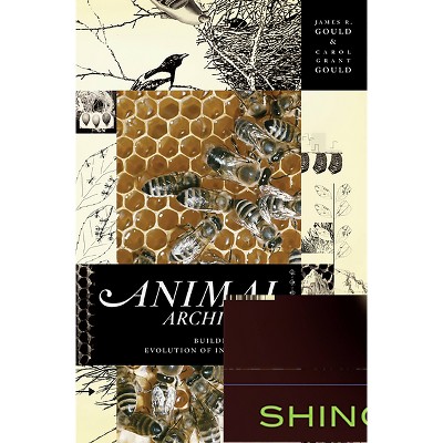 Animal Architects - by  James L Gould & Carol Grant Gould (Paperback)