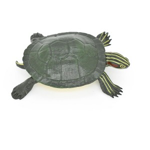 Collectible Wildlife Gifts | Turtle Toy, Red Eared Slider, Museum Quality Rubber Figure, Model, Animal, Hand Painted,       5"     CH122 BB97 - 1 of 4