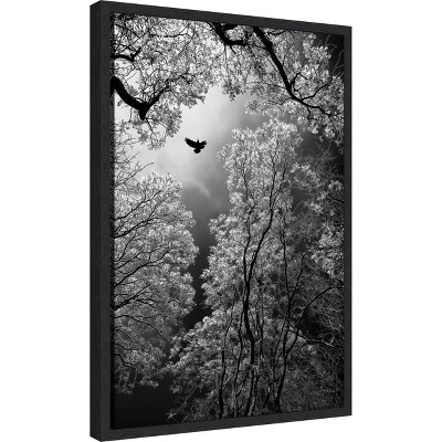 Amanti Art Flight by Goran Stamenkovic Canvas Wall Art Print Framed 16-in. x 23-in.