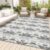 Outdoor Rug Carpet, Non Slip Washable Rug, Rustic Large Floor Mat, Modern Area Rug for Backyard Garden Picnic Beach Living Room - 4 of 4