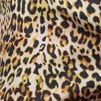 leopard print