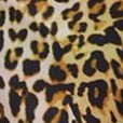 leopard print