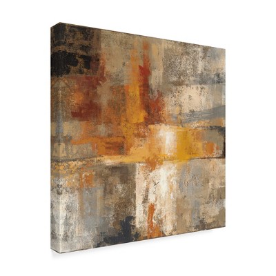 Trademark Fine Art -Silvia Vassileva 'Silver And Amber Crop' Canvas Art