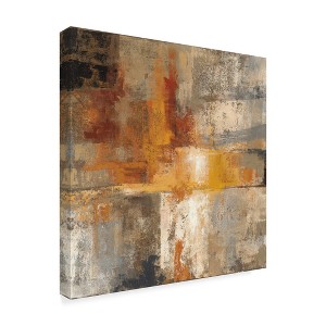 Trademark Fine Art -Silvia Vassileva 'Silver And Amber Crop' Canvas Art - 1 of 3