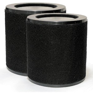 Nispira 2-in-1 True HEPA Replacement Filter for Air Purifier | Compatible with TaoTronics TT-AP008, 2 Packs - 1 of 4