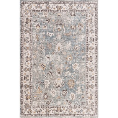 Nuloom Delvina Vintage Traditional Medallion Indoor Area Rug