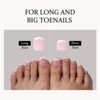 BTArtboxnails XCOATTIP® Press-On Nails - French Toe Nail -  Squoval Toe Nails -160ct - 4 of 4