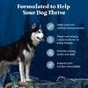 Blue Buffalo Wilderness High Protein Natural Adult Dry Dog Food with Chicken Flavor - 24lbs - 4 of 4