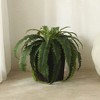 DR.Planzen Artificial Fern Plant with 33/39 leaves in 15.7"/16'' Plastic Planter (White/Coffee/Black) - Faux Indoor/Outdoor Plants Home Decor - 2 of 4