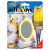 JW Insight Fancy Mirror Bird Toy - Assorted - 4 of 4