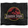 Jurassic Park Classic Logo Silky 50X60 Blanket, 1 Sided - 2 of 4