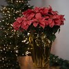 Northlight Artificial Christmas Poinsettia with Wrapped Base - 28" - Pink - 2 of 4