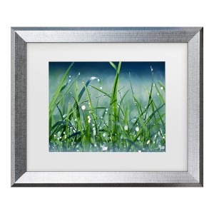 Trademark Fine Art - Beata Czyzowska Young Morning Dew Matted Framed Art - 1 of 4