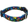 Country Brook Petz Deluxe Dog Collar - Floral Collection - 3 of 4