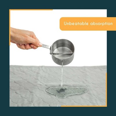 Medium Gray Washable Waterproof Pet Training Pads - 2 Pack