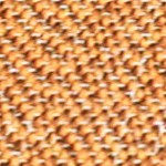 orange/cream