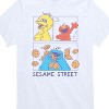 Boys' - Sesame Street - Elmo, Big Bird, Cookie Monster Short Sleeve Graphic T-Shirt - 2 of 4
