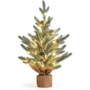 24 Inch Pre-Lit Tabletop Christmas Tree, Frosted Mini Pine with Red Berries, 50 Warm Lights, Holiday Centerpiece for Home, Office Desk, Green - 1 of 4