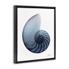 Stupell Industries Contemporary Nautilus Shell, 17" x 21" - 3 of 4