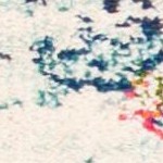 cream/blue