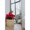 Mo's Crib Small Handcrafted Karula Basket with Handles: Circular Tan Storage Bin, Grass Material, 9.8" Dimensions - 2 of 3