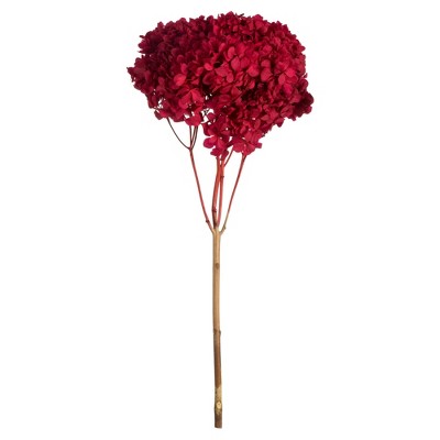 Vickerman Natural Botanicals 15” Hydrangea with Multiple Branch Segments, Preserved