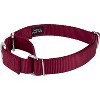 Country Brook Petz Martingale Heavyduty Nylon Dog Collar and Double Handle Leash - 4 of 4