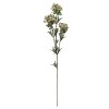 Floral Home 32" White Sweet Alyssum - 12-Pieces - 2 of 2