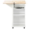 NicBex 39.8Inch Rolling Kitchen Island with Drop Leaf,Power Outlet and Open Storage,Kitchen Cart with 2 Drawers and 1 Door Cabinet - 4 of 4