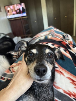 Guest review image 1 of 1, zoom in