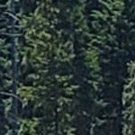 rustic plank grey narrow