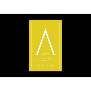 Awe - by  Paul David Tripp (Hardcover) - 1 of 1