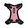 Voyager Step-In Lock Adjustable Dog & Cat Harness and 5ft Leash Combo - 2 of 4
