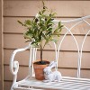 Sullivans Whitewashed Resting Decorative Bunny Sculpture Set of 2  6.25"H & 8.25"H Gray - 4 of 4