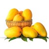 Fresh Golden Kesar Mangoes Pack of 9 - 2 of 4