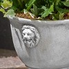 Okak Modern Magnesium Oxide Plant Pots with Lion Head Relief, Flower Pots with Square Base, Planters for Flowers, Herbs, Succulents, Antique White - 2 of 4