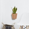 Ecopots Amsterdam Wall Durable Modern Round Indoor/Outdoor Recycled-Based Composite Hanging Flower Pot Planter - 4 of 4