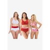 Comfort Choice Plus Size Full Coverage Stretch Cotton Color Block Brief 3-Pack - 4 of 4
