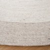 Braided BRD904 Hand Woven Rug - Safavieh - 3 of 3