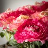 Sullivans Artificial 7" Potted Peony Crate of 12 - 2 of 4