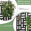 Iron Art Black Planter With Climbing Frame (street) 150*75*30 - 3 of 4