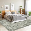 Vintage Washable Rugs Living Room,Short Pile Area Carpet for Outdoor - 2 of 4