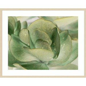 41" x 33" Petal I by Tang Ling Wood Framed Wall Art Print - Amanti Art: Giclee, Botanical Decor - 1 of 4